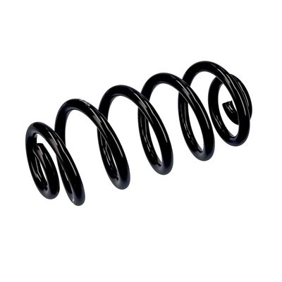 ARC SPIRAL EIBACH R10553 5