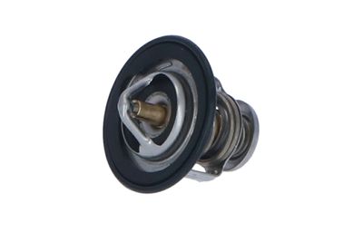 TERMOSTAT LICHID RACIRE NRF 725143 13