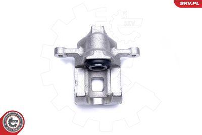 Brake Caliper 42SKV464