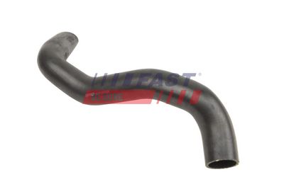 FURTUN EAR SUPRAALIMENTARE