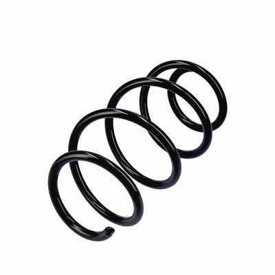 ARC SPIRAL EIBACH R20796 3