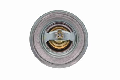 TERMOSTAT LICHID RACIRE VEMO V15992087 4