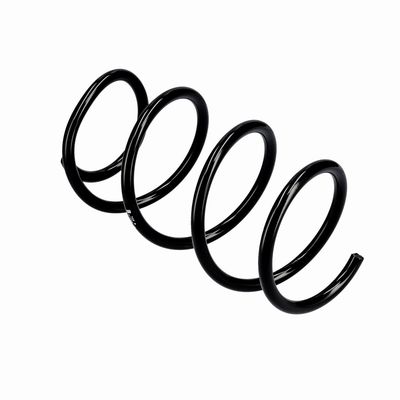 ARC SPIRAL EIBACH R10355 10