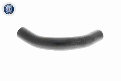 FURTUN EAR SUPRAALIMENTARE VAICO V240728 5