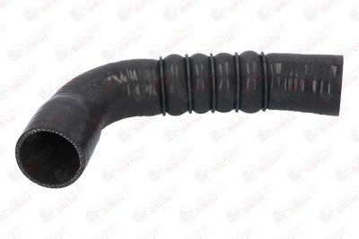 FURTUN EAR SUPRAALIMENTARE BIRTH 55588 1