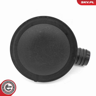 SEPARATOR ULEI VENTILATIE BLOC MOTOR ESEN SKV 31SKV409 2