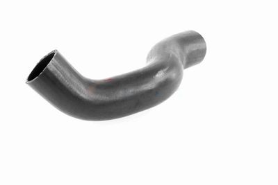 FURTUN EAR SUPRAALIMENTARE ACKOJA A380307 4