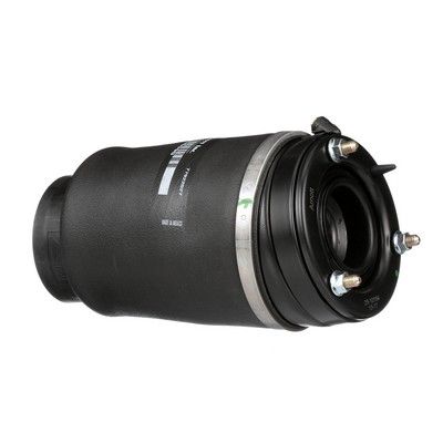 LUFTFEDER FAHRWERK Arnott A2934 18