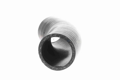 FURTUN EAR SUPRAALIMENTARE ACKOJA A389604 4