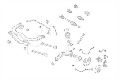 SUSPENSIE ROATA DELPHI OEAUDI000015898R