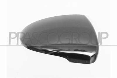 ACOPERIRE OGLINDA EXTERIOARA