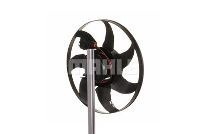 VENTILATOR RADIATOR MAHLE CFF19000S 33