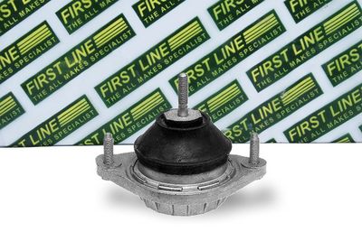 окачване, двигател FIRST LINE FEM3161
