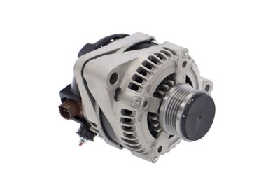 GENERATOR / ALTERNATOR REMANTE 011003000061R 19