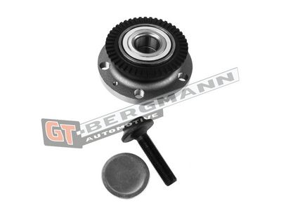 GT-BERGMANN Automotive Rato guolio komplektas