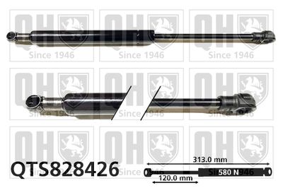 газов амортисьор, капак на двигателя QUINTON HAZELL QTS828426