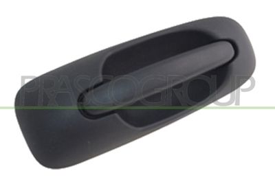 Ручка двери PRASCO DG0058001 для DODGE CARAVAN