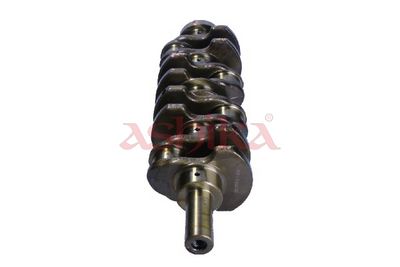 ARBORE COTIT ASHIKA 18FO000 2