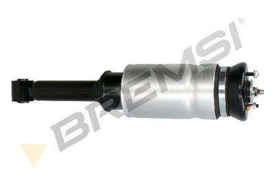 BRAT ARC PNEUMATIC BREMSI SA2064