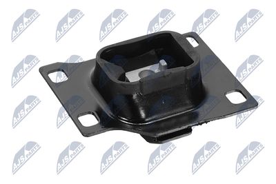 SUPORT MOTOR NTY ZPSFR034 31