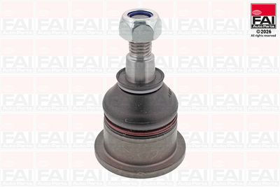 Шарнири FAI AutoParts SS5820