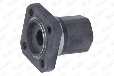 FLANSA LICHID RACIRE BIRTH 4030 9