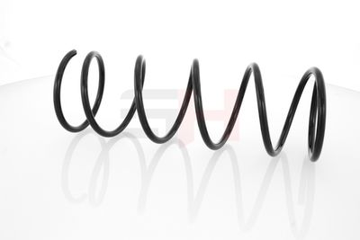 ARC SPIRAL GH GH223206 30