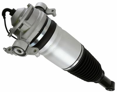 LUFTFEDERBEIN SACHS 319422 1