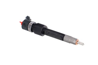 INJECTOR REMANTE 002003001695R 46