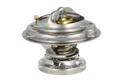 TERMOSTAT LICHID RACIRE NRF 725074 4