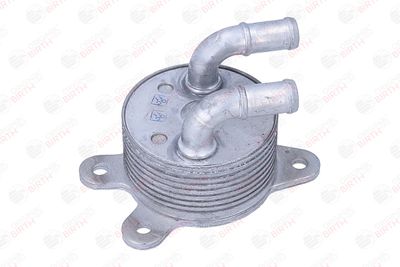 RADIATOR ULEI ULEI MOTOR BIRTH 80838 12