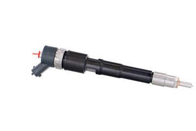 INJECTOR REMANTE 002003000156R 43