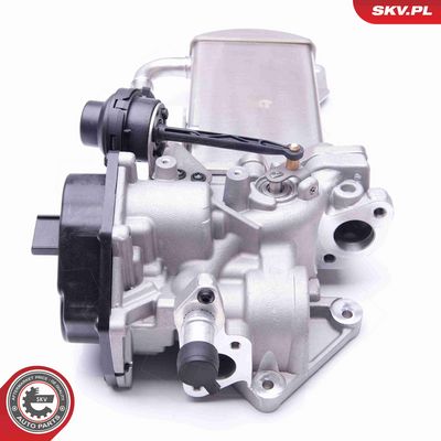 SUPAPA EGR ESEN SKV 14SKV153 1