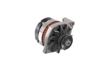 GENERATOR / ALTERNATOR REMANTE 011003000079R 55