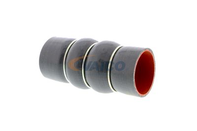 LADELUFTSCHLAUCH VAICO V250949 51