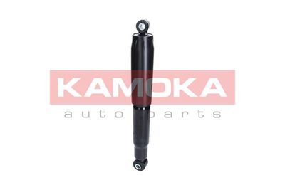 Shock Absorber 2000887