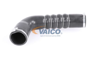 FURTUN EAR SUPRAALIMENTARE VAICO V103794 11