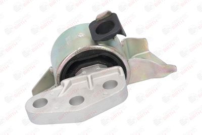 SUPORT MOTOR BIRTH 53213 1