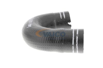 FURTUN EAR SUPRAALIMENTARE VAICO V240804 46