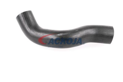 FURTUN EAR SUPRAALIMENTARE ACKOJA A380307 36