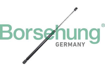 AMORTIZOR PORTBAGAJ Borsehung B12063