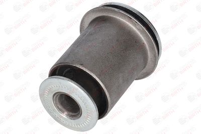 SUPORT TRAPEZ BIRTH 2905 5