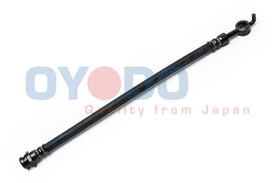 Stabdžių žarnelė