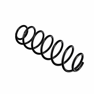 ARC SPIRAL EIBACH R10496 22