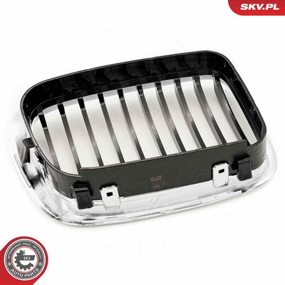 GRILA RADIATOR ESEN SKV 66SKV064 4