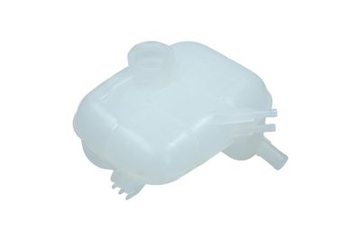 VAS DE EXPANSIUNE RACIRE