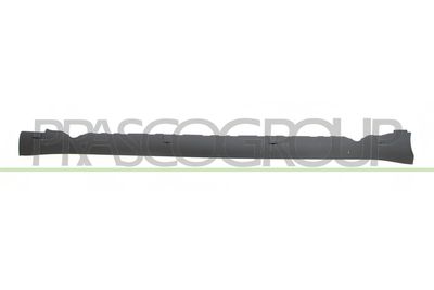 лайсна на входа PRASCO TS3001403