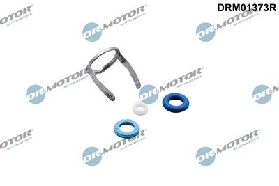 remonto komplektas, įpurškimo antgalis DRM01373R Dr.Motor Automotive