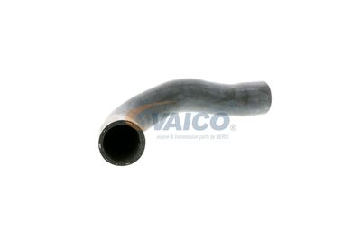 FURTUN RADIATOR VAICO V201241 44