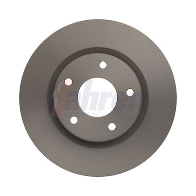 Fahren Brake Disc FBD6303